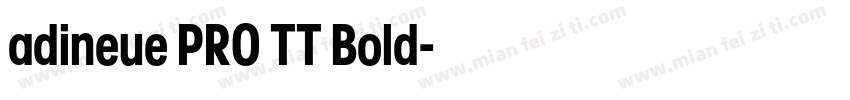 adineue PRO TT Bold字体转换
